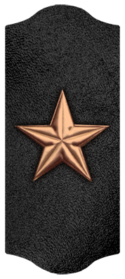 DARAY C 430 BZ BK Star Bronze Black